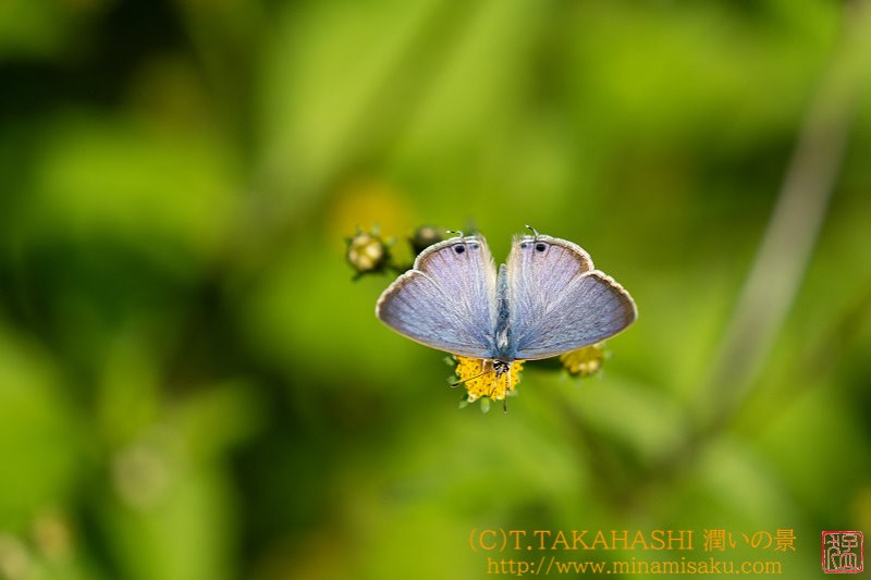 ../Images/7R241013 (43).jpg